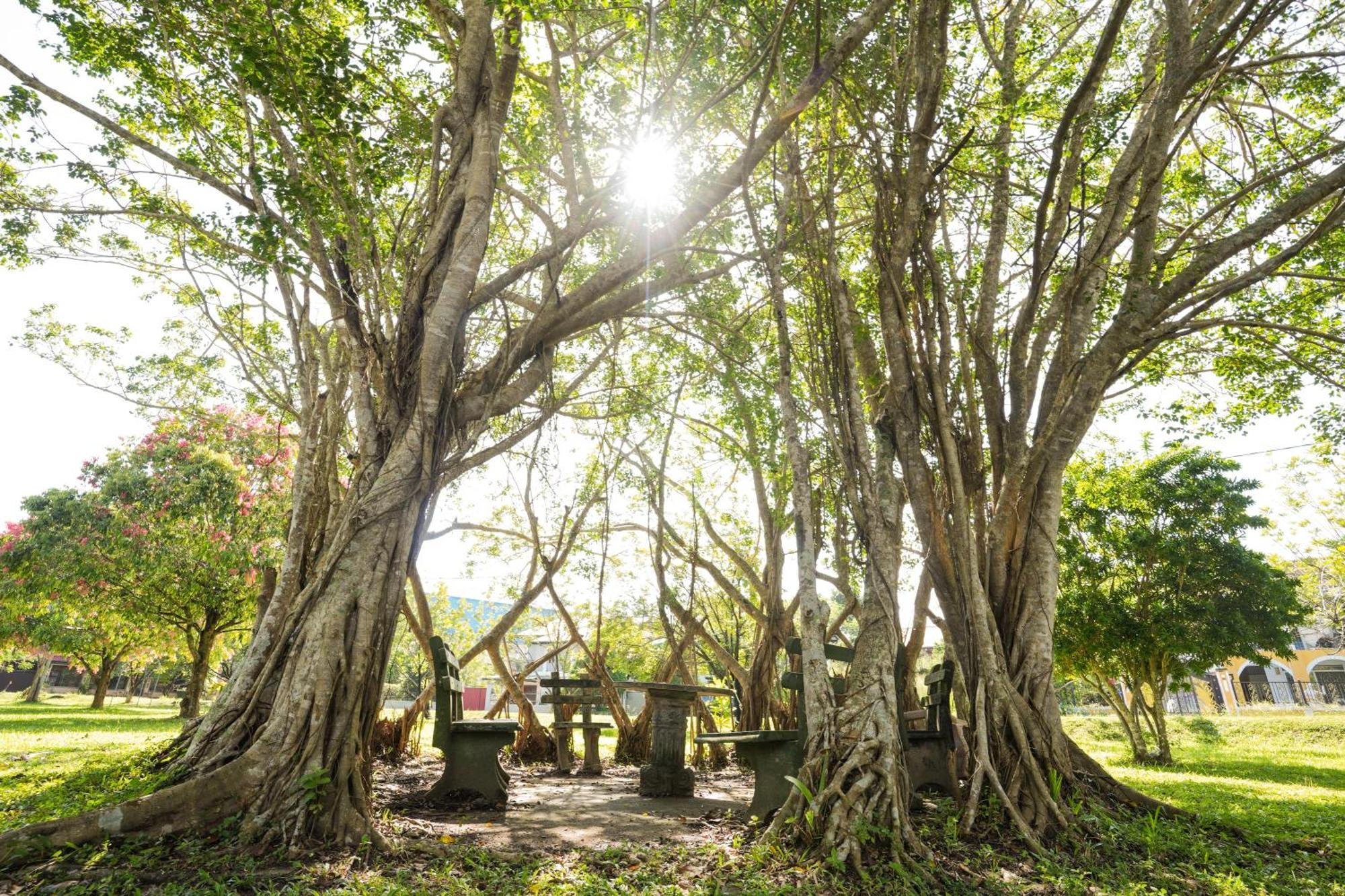Summer House - Private Villa Close To International Airport Bia จา-เอลา ภายนอก รูปภาพ